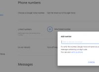googlevoice不支持当前地区,google voice 尚不支持您所在的国家