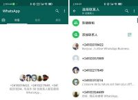 国内的whatsapp怎么用,国内手机whatsapp如何能用