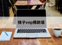 梯子vnp佛跳墙,极光加速器官网入口
