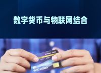 v-token国际钱包,votoken国际支付钱包