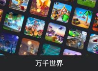 roblox注入器怎么用,robloxcodex注入器