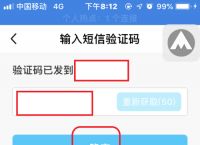 im钱包密码格式,iphone钱包密码是什么密码