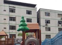 市桥街中心幼儿园怎么样,市桥街中心幼儿园怎么样报名