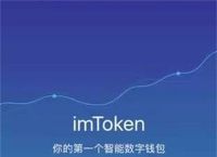 intoken钱包不会用怎么办,invalidtoken怎么解决