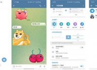纸飞机app在中国怎么用,纸飞机app在国内怎么登录