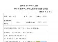 安吉梯子观察记录,安吉游戏爬梯子观察记录