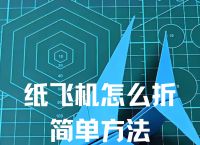 纸飞机设置中文步骤,纸飞机设置中文步骤怎么设置