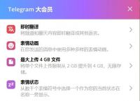 telegeram怎么使用,telegeram国内判几年
