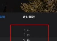 ios纸飞机怎么设置中文,纸飞机苹果手机版的怎么转换成中文