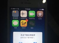 苹果怎么下载ssr纸飞机,苹果已经下载纸飞机怎么变成中文版的