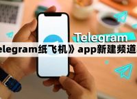纸飞机汉化包ios,纸飞机短信验证码平台