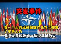北约国家反对乌克兰,北约国家反对乌克兰加入北约