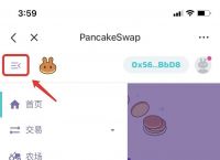 tokenpocket转出,ideapocket经典作品