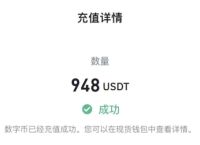 USDT支付钱包,usdt支付app