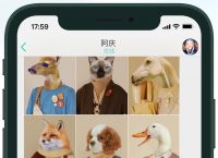 包含下载安卓纸飞机app的词条