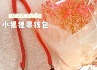小狐狸钱包是什么,小狐狸钱包v740