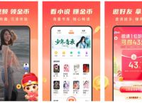 浏览器极速版赚钱,浏览器极速版什么意思