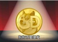 狗狗币最新消息,美国狗狗币最新消息