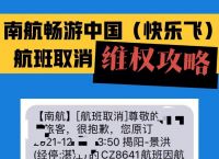 关于飞机app下载ios中文版的信息