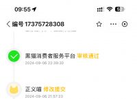 飞机翻译中文链接,飞机翻译中文链接下载