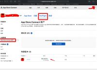 纸飞机testflight,9视频安装testflight