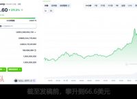 虚拟币市值排行榜,虚拟币市值排行榜20名