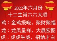 六六来开过什么生肖,六六开顺今期数是什么生肖