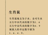 发现玄机指什么生肖,玄机明显发小财是什么生肖