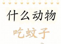 蝙蝠app下载官网,蝙蝠app下载最新版本258