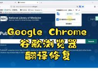 谷歌翻译官网入口,谷歌翻译谷歌翻译在线