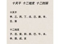 不知廉耻打一准确生肖,不知廉耻的动物猜一生肖