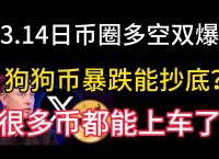 狗狗币美元交易今日价格,狗狗币今天的最新美元价格