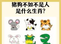 今期生肖不说二是什么生肖,今期生肖不说二是什么生肖?