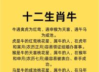 牛今期开银花打一最佳生肖的简单介绍