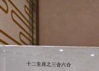 二三合数今期开是什么生肖,二三合数今期开打一生肖什么生肖
