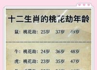 今期生肖找桃花正确答案动物,今期生肖找桃花取定金命必有土打一生肖