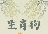 属狗的2025年适合戴什么生肖,生肖狗在2025年的运势以及注意月份