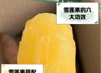 雪莲打一最佳生肖,雪莲果代表什么生肖