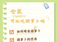 “胡萝卜”是什么生肖,仓鼠吃胡萝卜是什么生肖