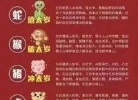 今期生肖多留,2025年生肖运势详解