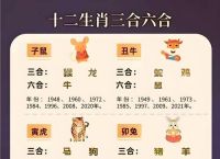 今期意思:叱咤风云:是什么生肖的简单介绍