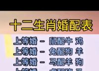 包含今期生肖四方景是什么生肖的词条
