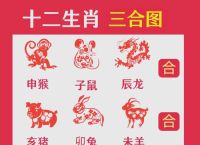 今期生肖排第三最正确的生肖,今期生肖排第三最正确的生肖是什么