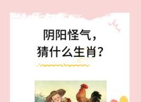 阴打一生肖动物,阴代表什么动物生肖