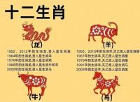首屈一指打一生肖是什么,首屈一指的十二生肖是哪个