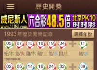 四六作伴今期开精准生肖,四六定合开本期是什么生肖