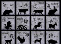 在今期是什么生肖动物,今期生肖也可中是哪一肖