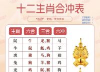 今期生肖什么冲什么,今期什么生肖冲什么生肖