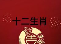 今期生肖是将军正确答案数字,今期生肖定将军秀才上京考状元指什么生肖