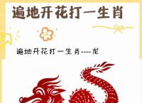 “神龙见南不见北”指什么生肖的简单介绍